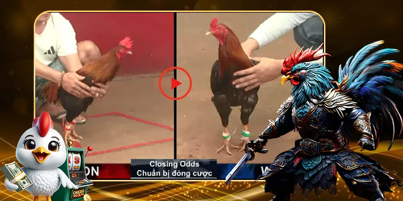 Tại sao chọn SV3881.GAMES?