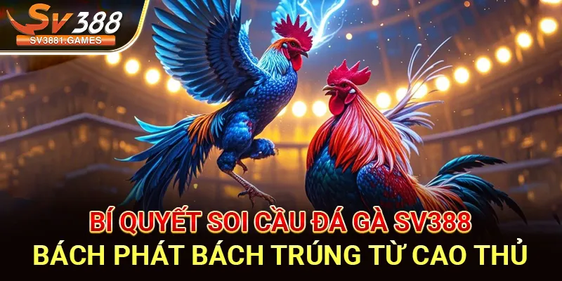 Soi Cầu Đá Gà Sv388