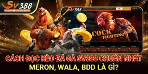 Cách Đọc Kèo Đá Gà Sv388