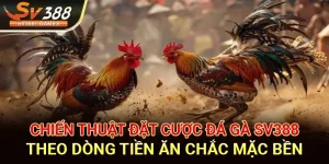 Chiến Thuật Đặt Cược Đá Gà SV388 Theo Dòng Tiền