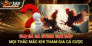 Đá gà Sv388 là gì?