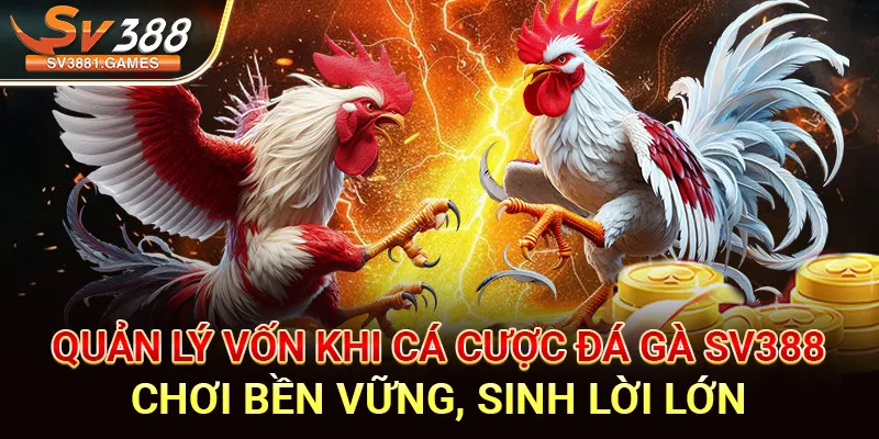 Quản Lý Vốn Đá Gà Sv388